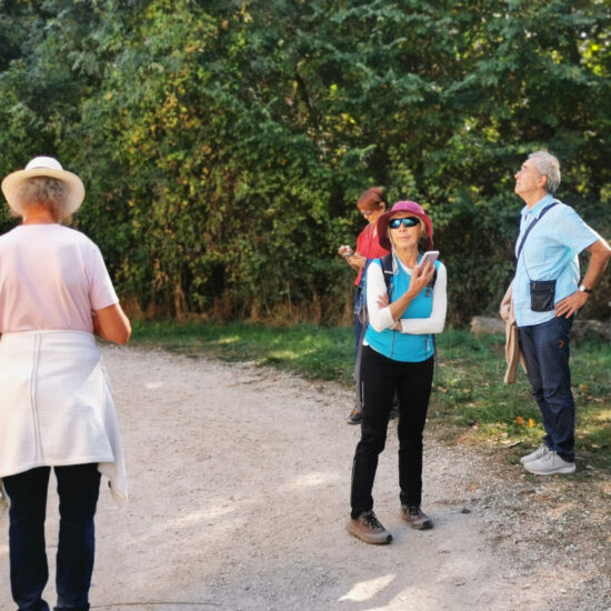 Aoiz_20251012_120120