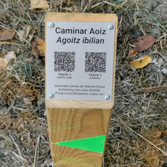 Aoiz_20251012_120200