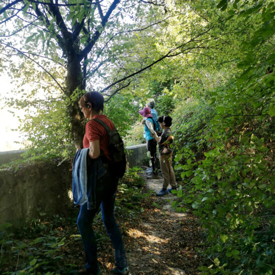 Aoiz_20251012_120255