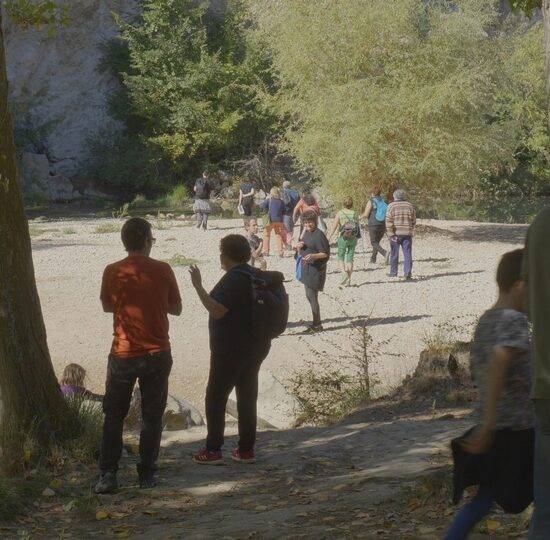 Caminos de arte y naturaleza - Caminar el Ega 5