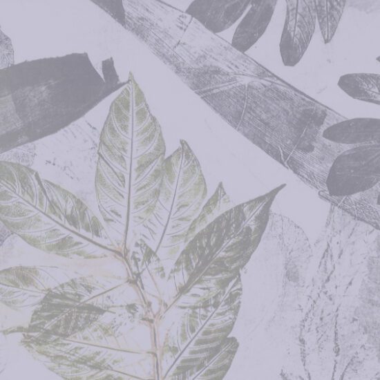 fondo programa senderos pedagogia forestal Talleres de arte y naturaleza