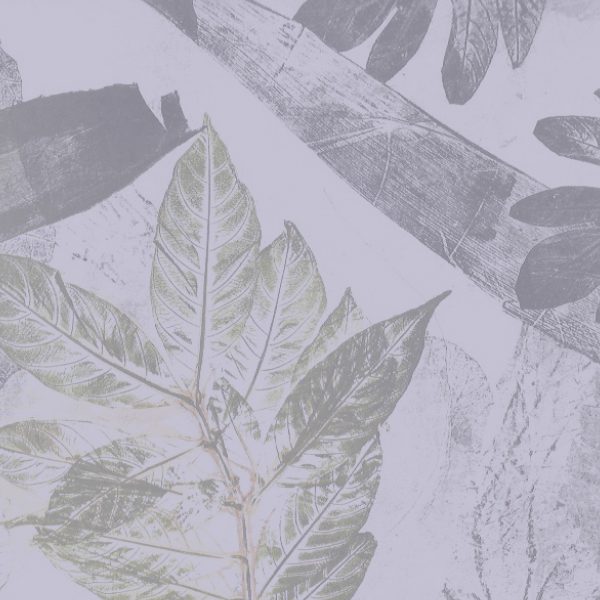 fondo programa senderos pedagogia forestal Senderos