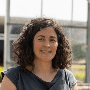 MARTA TORRES Equipos / Artistas