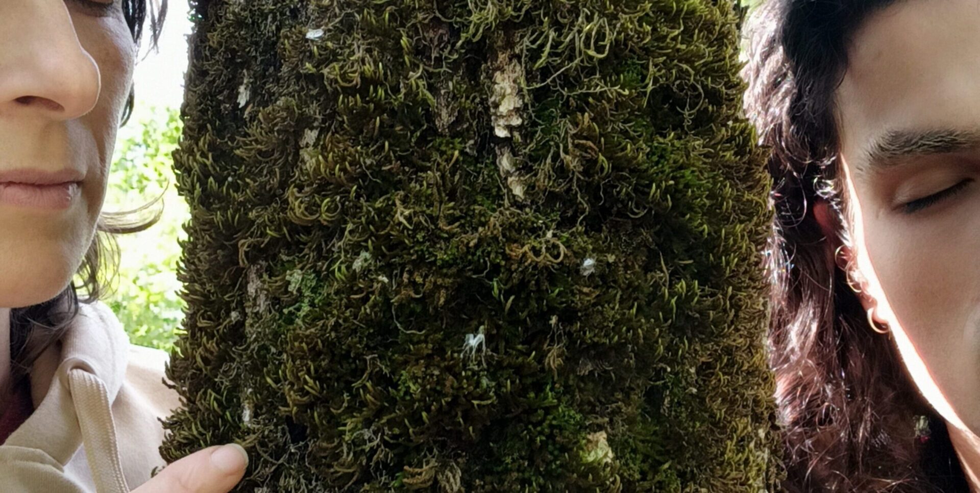 Baño de arte en el bosque