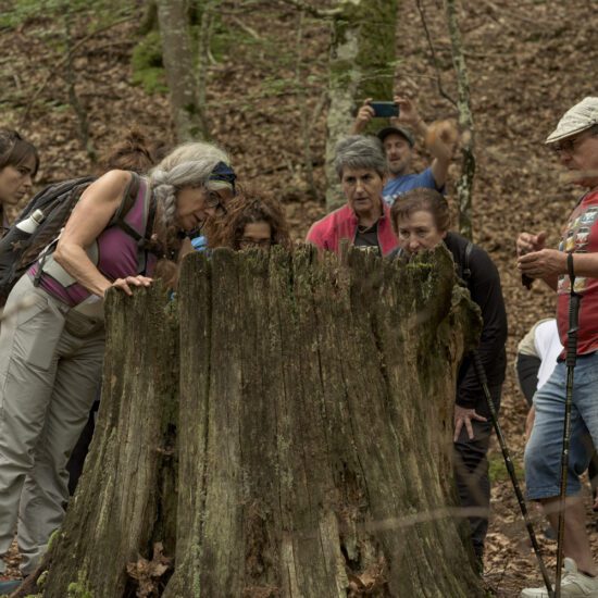 Sendero pedagogía