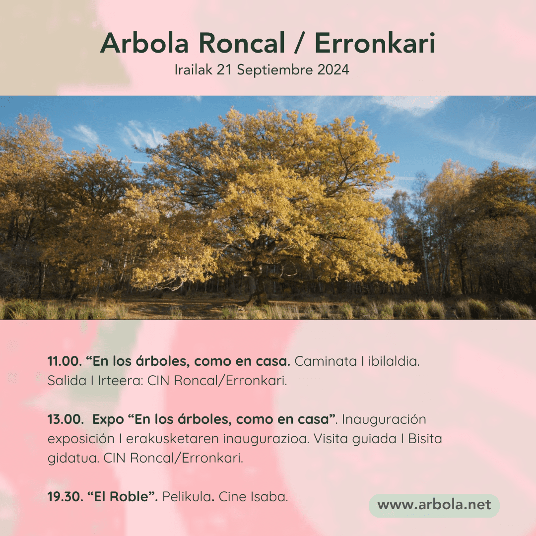 POST JORNADA ARBOLA RONCAL Eventos