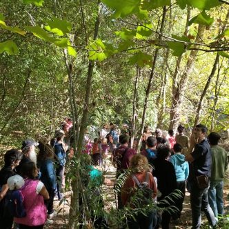 Senderos-de-pedagogia-Arborea-2
