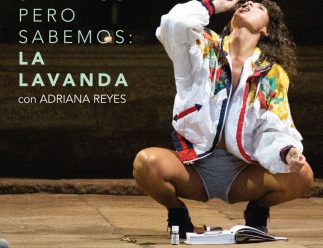 Taller de Adriana Reyes