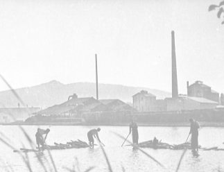 la lagunaV3