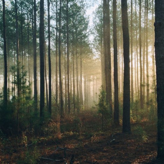 steven-kamenar-MMJx78V7xS8-unsplash-aspect-ratio-1920-967